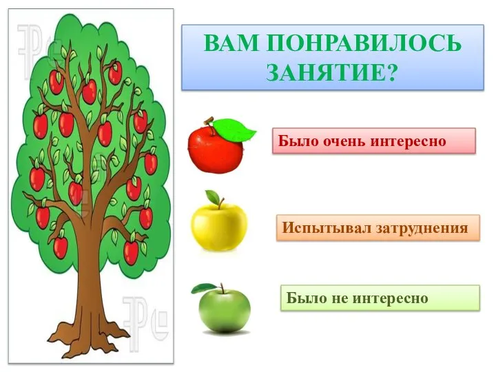 ВАМ ПОНРАВИЛОСЬ ЗАНЯТИЕ? Было очень интересно Испытывал затруднения Было не интересно