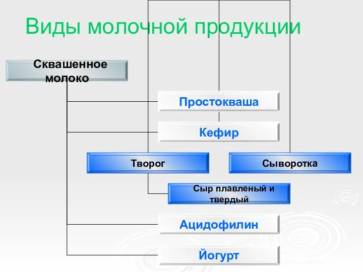 Виды молочной продукции