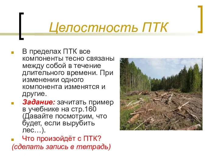 Целостность ПТК В пределах ПТК все компоненты тесно связаны между собой