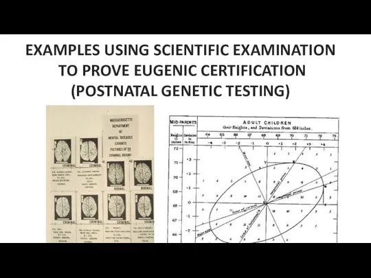 EXAMPLES USING SCIENTIFIC EXAMINATION TO PROVE EUGENIC CERTIFICATION (POSTNATAL GENETIC TESTING)