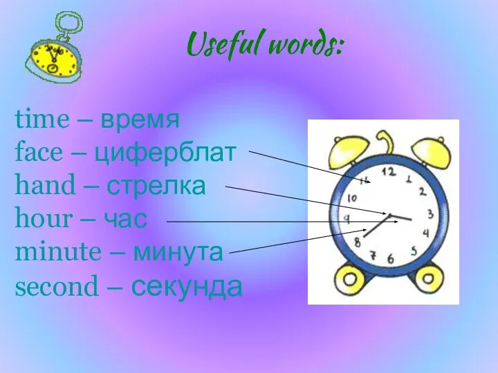 time – время face – циферблат hand – стрелка hour –