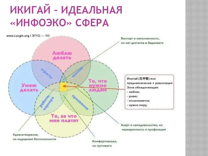 ИКИГАЙ – ИДЕАЛЬНАЯ «ИНФОЭКО» СФЕРА