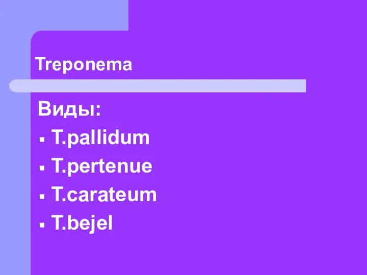 Treponema Виды: T.pallidum T.pertenue T.carateum T.bejel