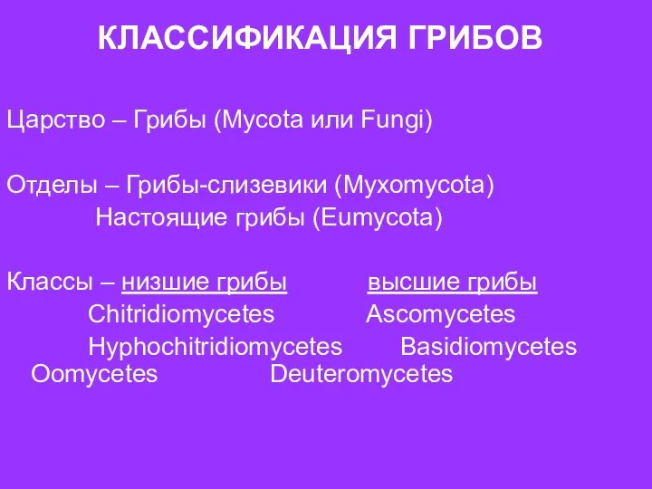 КЛАССИФИКАЦИЯ ГРИБОВ Царство – Грибы (Mycota или Fungi) Отделы – Грибы-слизевики