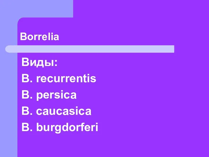 Borrelia Виды: B. recurrentis B. persica B. caucasica B. burgdorferi