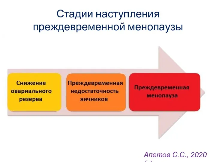 Стадии наступления преждевременной менопаузы Апетов С.С., 2020 (с)