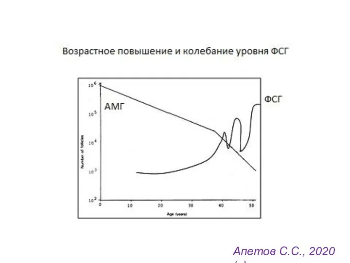 Апетов С.С., 2020 (с)