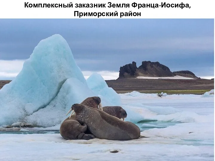 Комплексный заказник Земля Франца-Иосифа, Приморский район