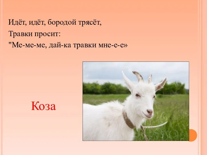 Идёт, идёт, бородой трясёт, Травки просит: "Ме-ме-ме, дай-ка травки мне-е-е» Коза
