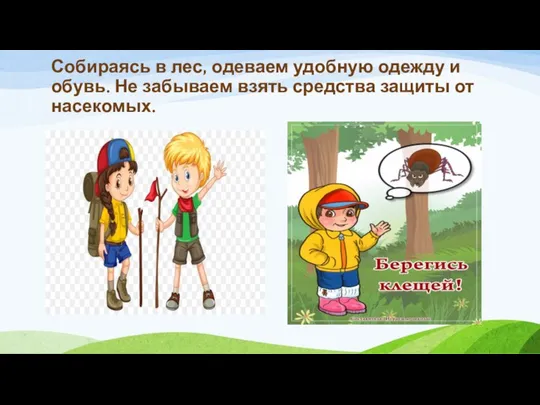 Собираясь в лес, одеваем удобную одежду и обувь. Не забываем взять средства защиты от насекомых.