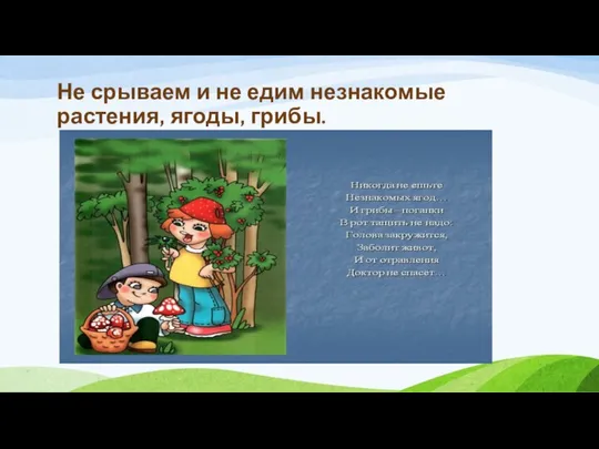 Не срываем и не едим незнакомые растения, ягоды, грибы.