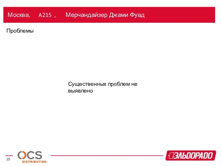 Москва, A215 , Мерчандайзер Джами Фуад Проблемы Существенных проблем не выявлено