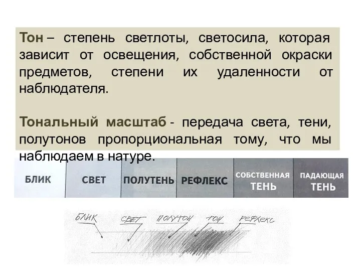 Тон – степень светлоты, светосила, которая зависит от освещения, собственной окраски