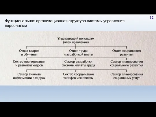 12 Функциональная организационная структура системы управления персоналом