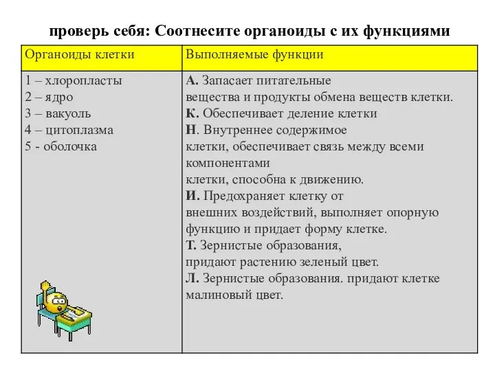 проверь себя: Соотнесите органоиды с их функциями