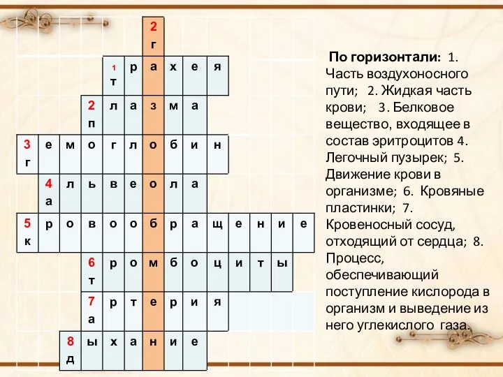 По горизонтали: 1. Часть воздухоносного пути; 2. Жидкая часть крови; 3.