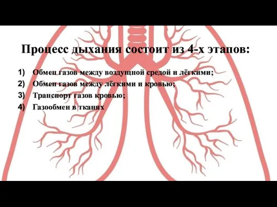 Процесс дыхания состоит из 4-х этапов: Обмен газов между воздущной средой