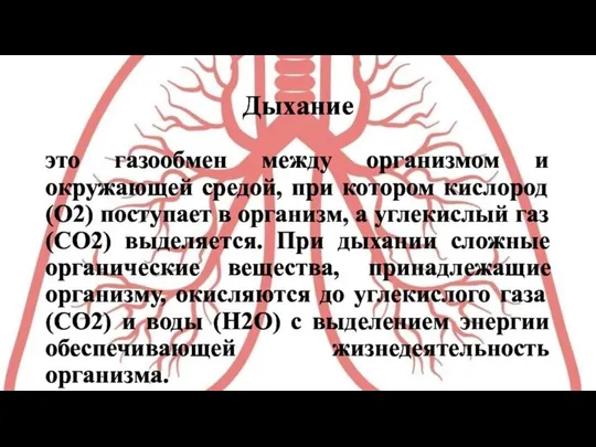 Дыхание это газообмен между организмом и окружающей средой, при котором кислород