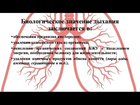 Биологическое значение дыхания заключается в: обеспечении организма кислородом; удалении углекислого газа