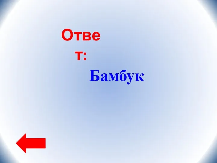 Ответ: Бамбук