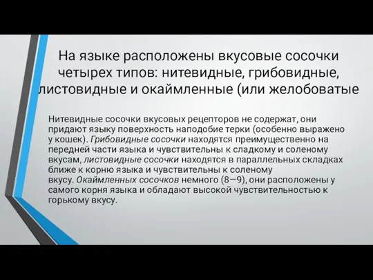 На языке расположены вкусовые сосочки четырех типов: нитевидные, грибовидные, листовидные и