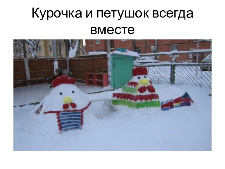 Курочка и петушок всегда вместе