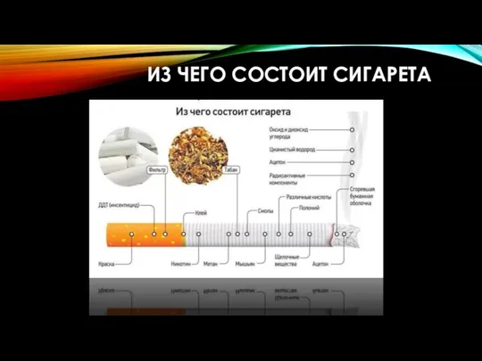 ИЗ ЧЕГО СОСТОИТ СИГАРЕТА