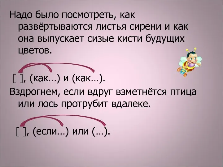 Надо было посмотреть, как развёртываются листья сирени и как она выпускает