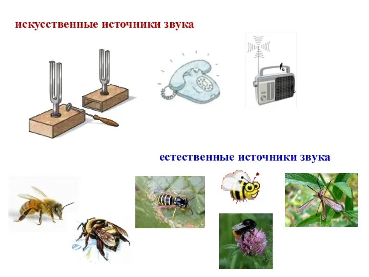 искусственные источники звука естественные источники звука