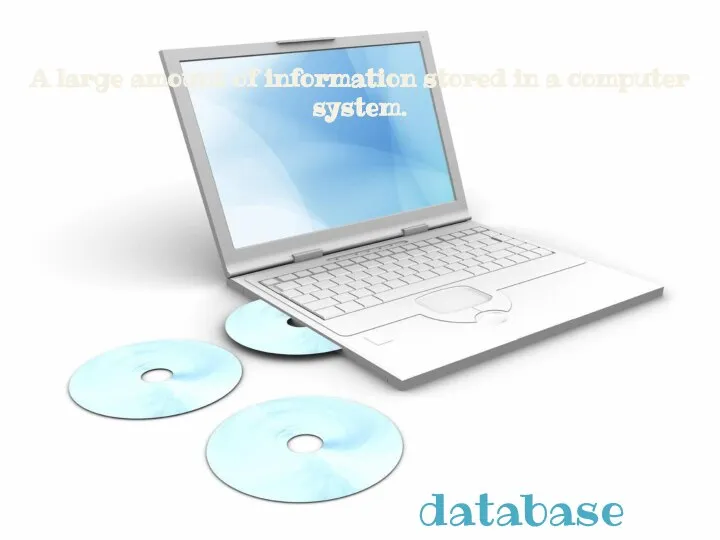 A large amount of information stored in a computer system. database