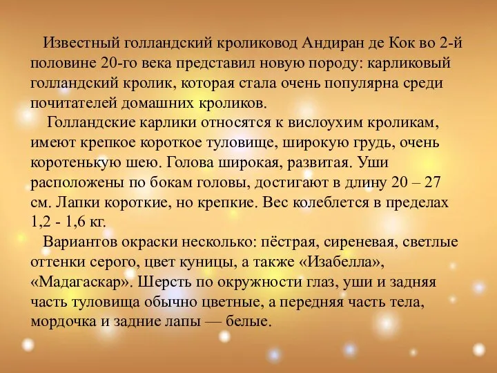 Известный голландский кроликовод Андиран де Кок во 2-й половине 20-го века