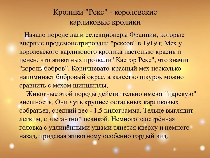 Начало породе дали селекционеры Франции, которые впервые продемонстрировали "рексов" в 1919