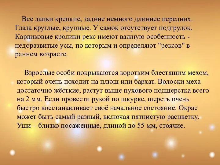 Все лапки крепкие, задние немного длиннее передних. Глаза круглые, крупные. У