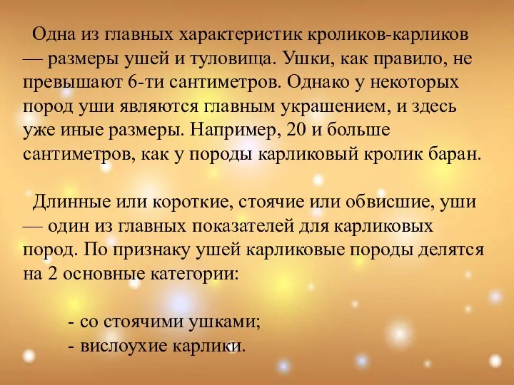 Одна из главных характеристик кроликов-карликов — размеры ушей и туловища. Ушки,