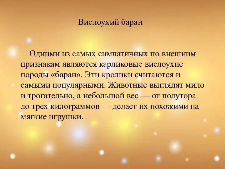 Вислоухий баран Одними из самых симпатичных по внешним признакам являются карликовые