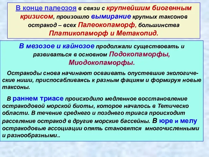 В конце палеозоя в связи с крупнейшим биогенным кризисом, произошло вымирание