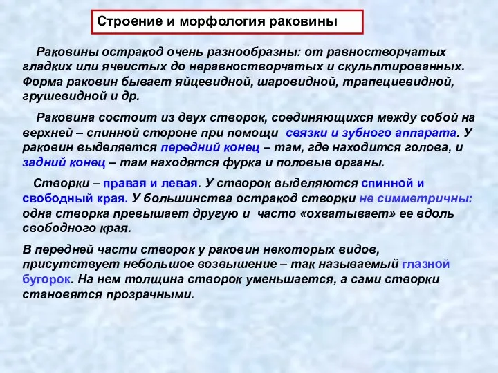 Строение и морфология раковины Раковины остракод очень разнообразны: от равностворчатых гладких