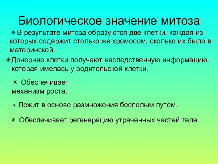 Биологическое значение митоза ✴В результате митоза образуются две клетки, каждая из