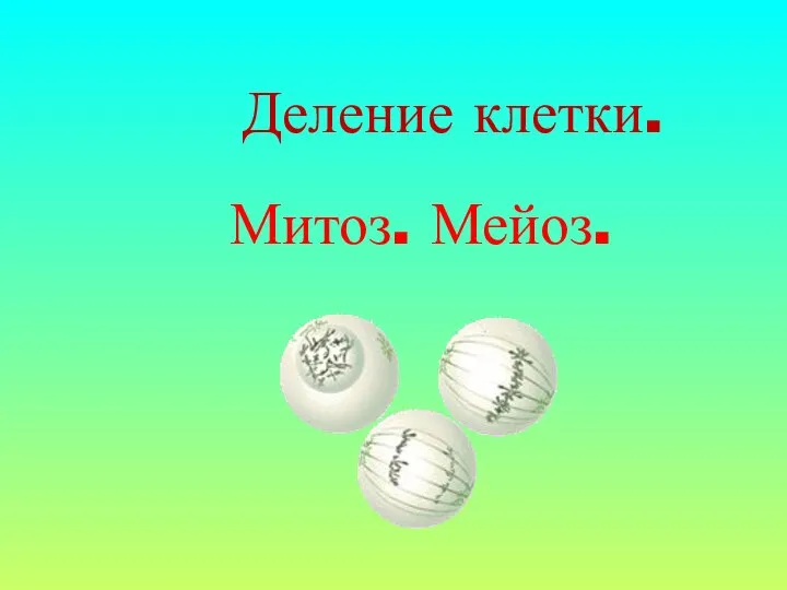 Деление клетки. Митоз. Мейоз.