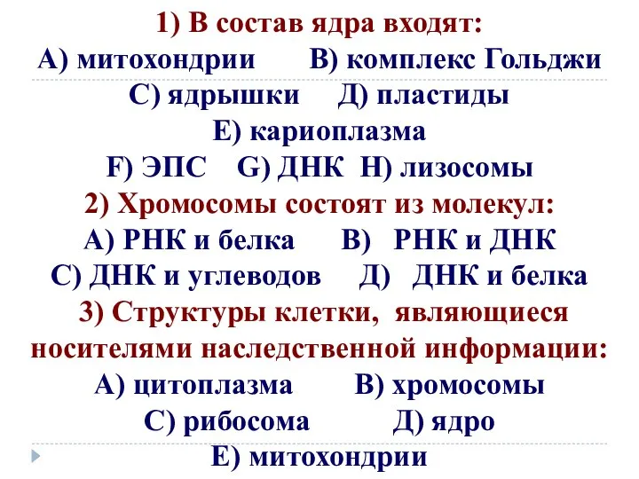 1) В состав ядра входят: А) митохондрии В) комплекс Гольджи С)