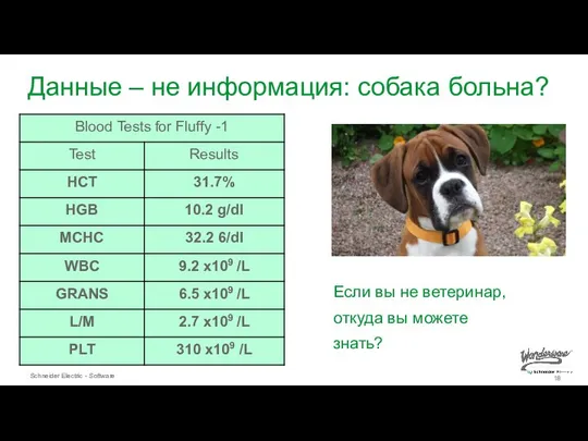 Данные – не информация: собака больна? Если вы не ветеринар, откуда вы можете знать?
