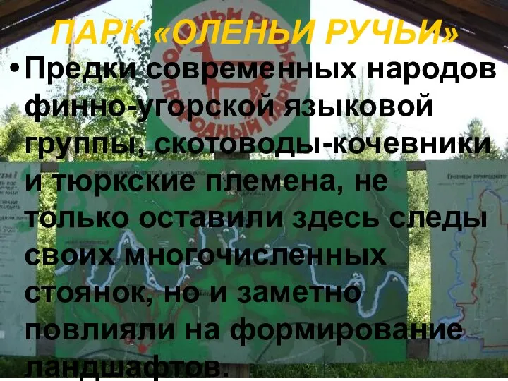 ПАРК «ОЛЕНЬИ РУЧЬИ» Предки современных народов финно-угорской языковой группы, скотоводы-кочевники и