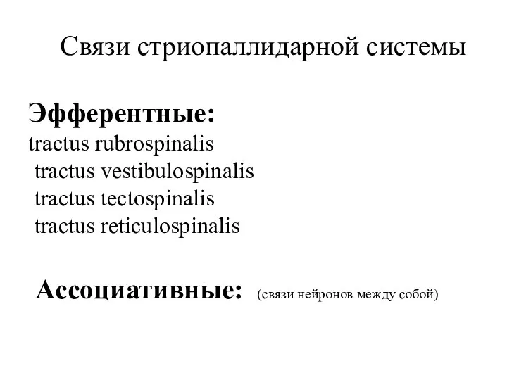 Связи стриопаллидарной системы Эфферентные: tractus rubrospinalis tractus vestibulospinalis tractus tectospinalis tractus