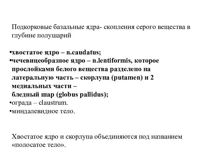 Подкорковые базальные ядра- скопления серого вещества в глубине полушарий хвостатое ядро