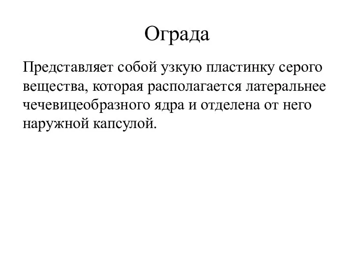 Ограда Представляет собой узкую пластинку серого вещества, которая располагается латеральнее чечевицеобразного