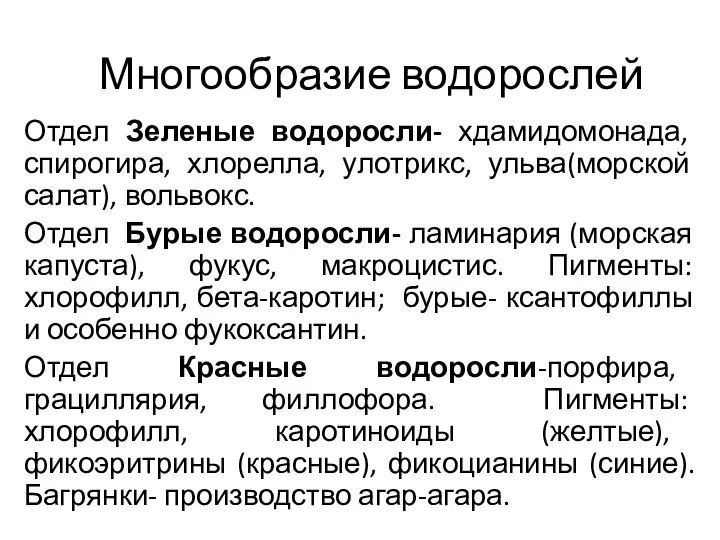 Многообразие водорослей Отдел Зеленые водоросли- хдамидомонада, спирогира, хлорелла, улотрикс, ульва(морской салат),