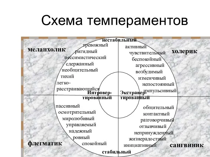 Схема темпераментов активный чувствительный беспокойный агрессивный возбудимый изменчивый непостоянный импульсивный общительный