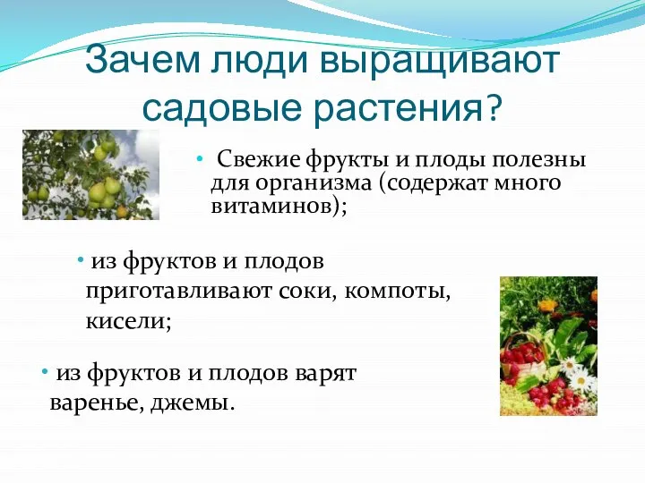 Зачем люди выращивают садовые растения? Свежие фрукты и плоды полезны для