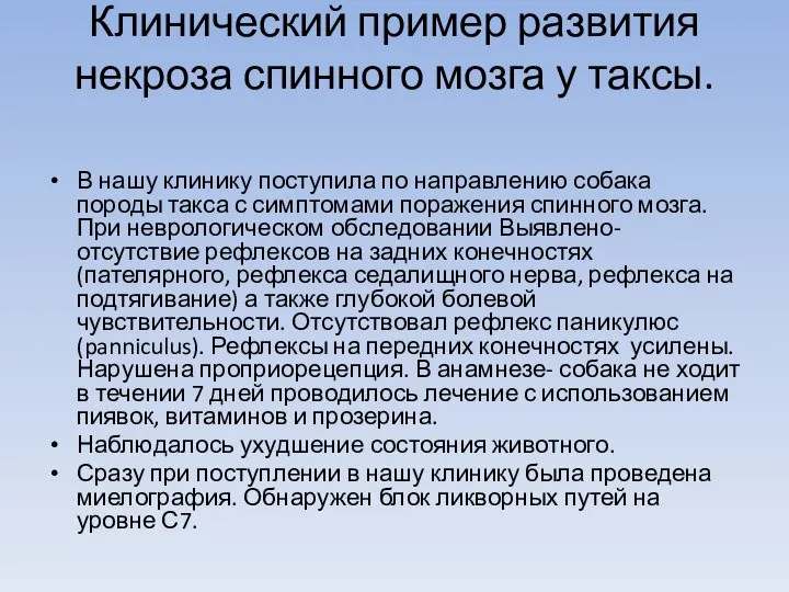 Клинический пример развития некроза спинного мозга у таксы. В нашу клинику