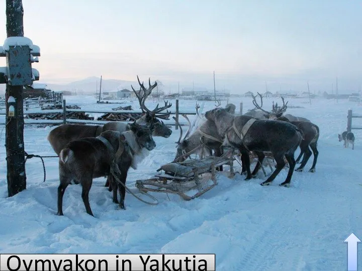 Oymyakon in Yakutia